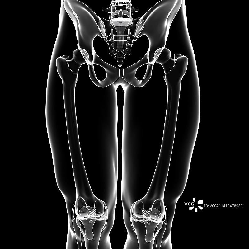 人类骨骼，艺术品图片素材