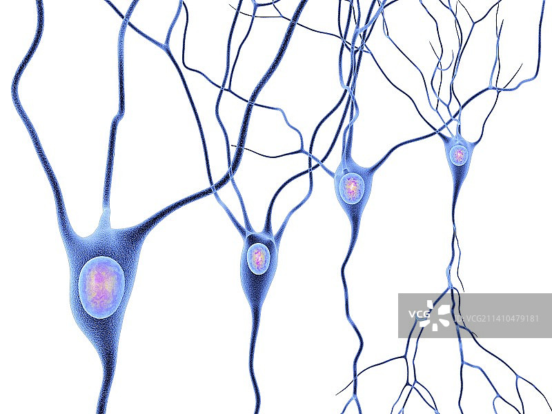 神经细胞艺术图图片素材