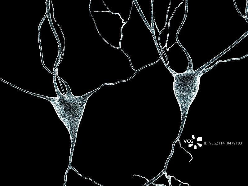 神经细胞艺术图图片素材