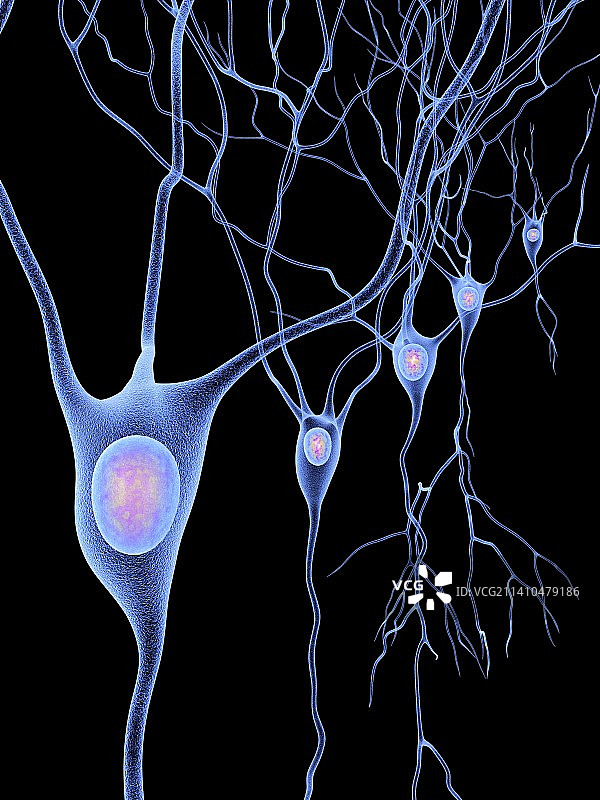 神经细胞艺术图图片素材