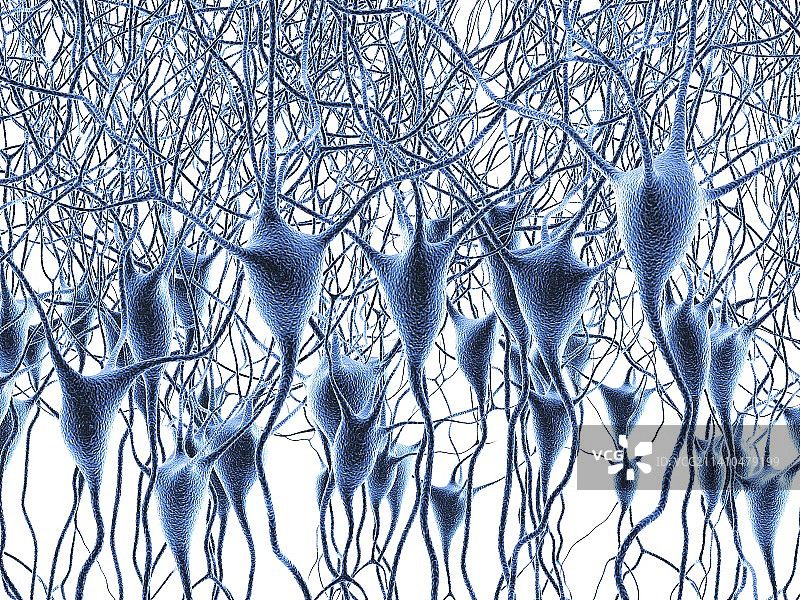 神经细胞艺术图图片素材