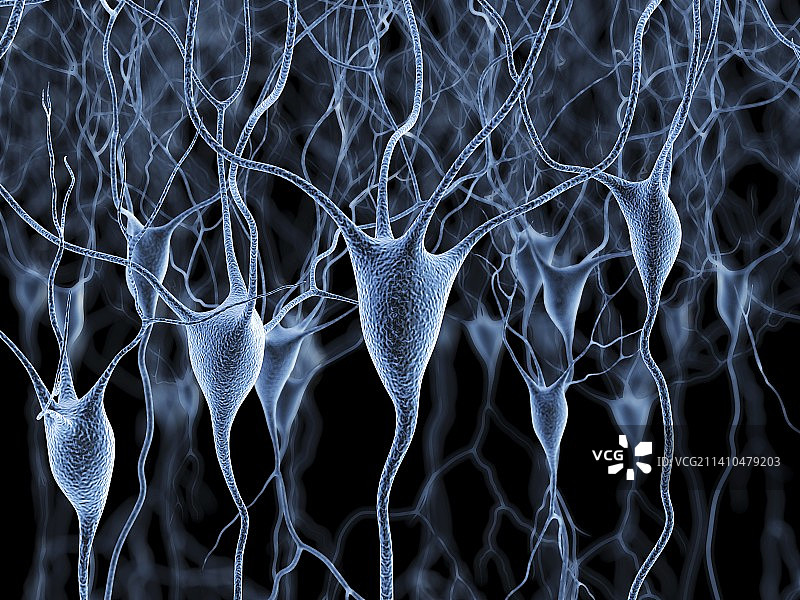 神经细胞艺术图图片素材