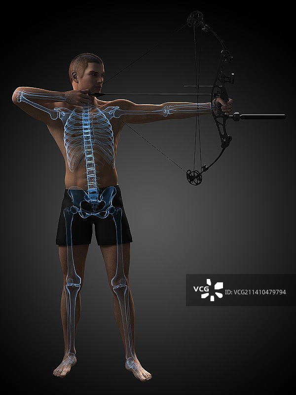 弓箭手插画图片素材