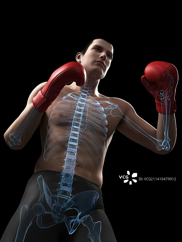 拳击手艺术作品图片素材