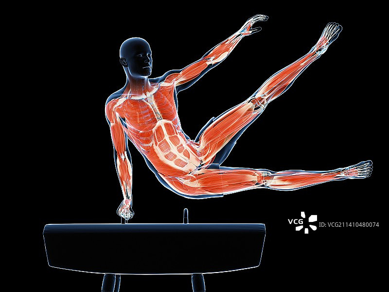 体操运动员，艺术作品图片素材