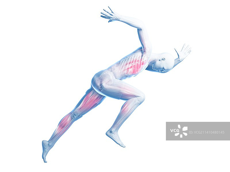 赛跑运动员艺术作品图片素材