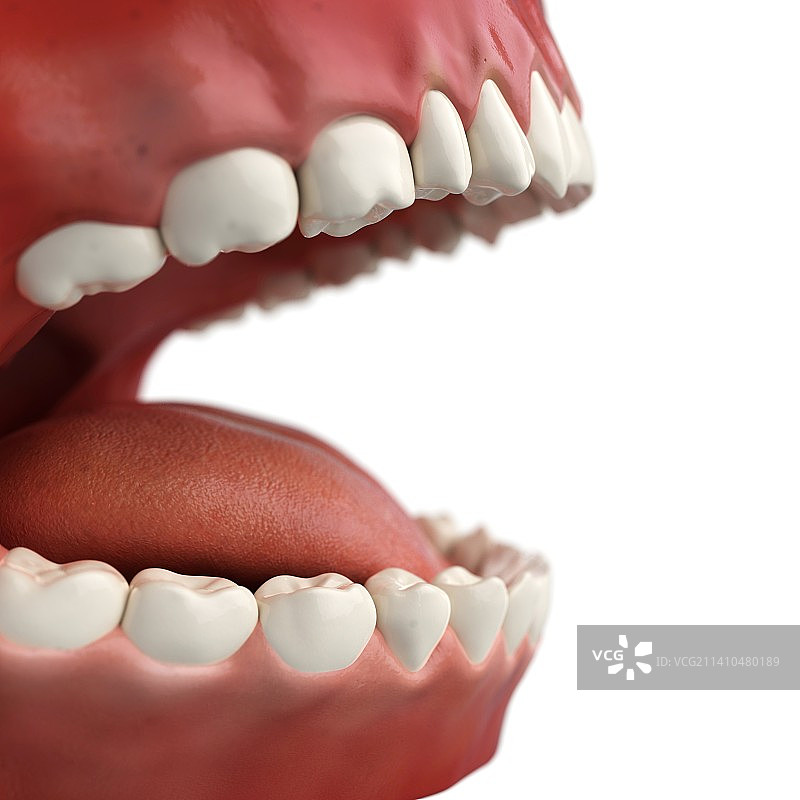 健康的牙齿，艺术作品图片素材