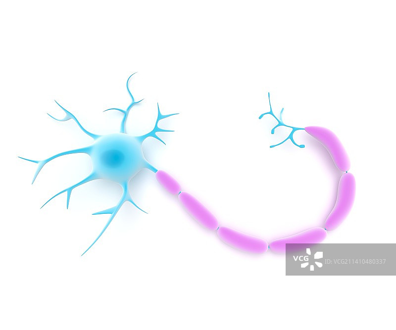 神经细胞艺术图图片素材