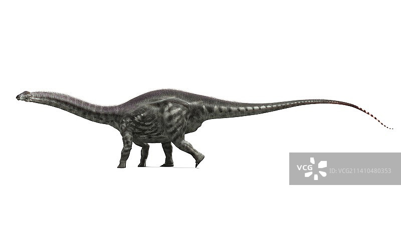 迷惑龙艺术作品图片素材