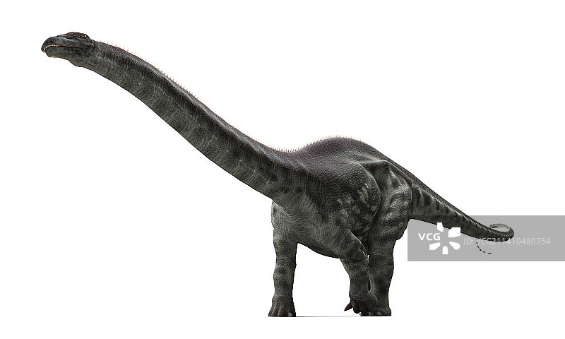 迷惑龙艺术作品图片素材