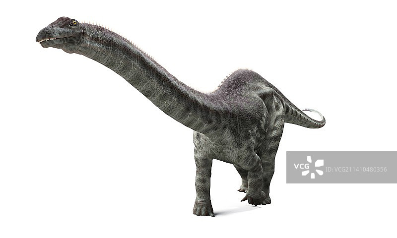 迷惑龙艺术作品图片素材