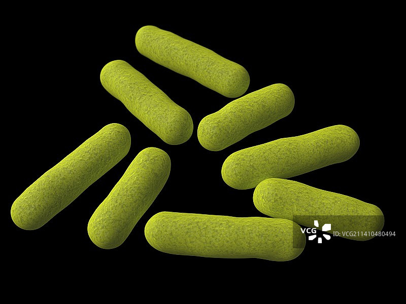 芽孢杆菌细菌，艺术作品图片素材