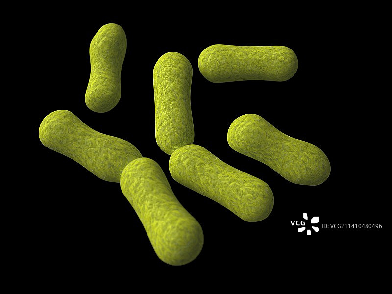 痤疮丙酸杆菌，艺术作品图片素材