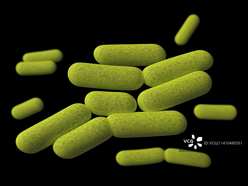 克雷伯氏菌图片素材