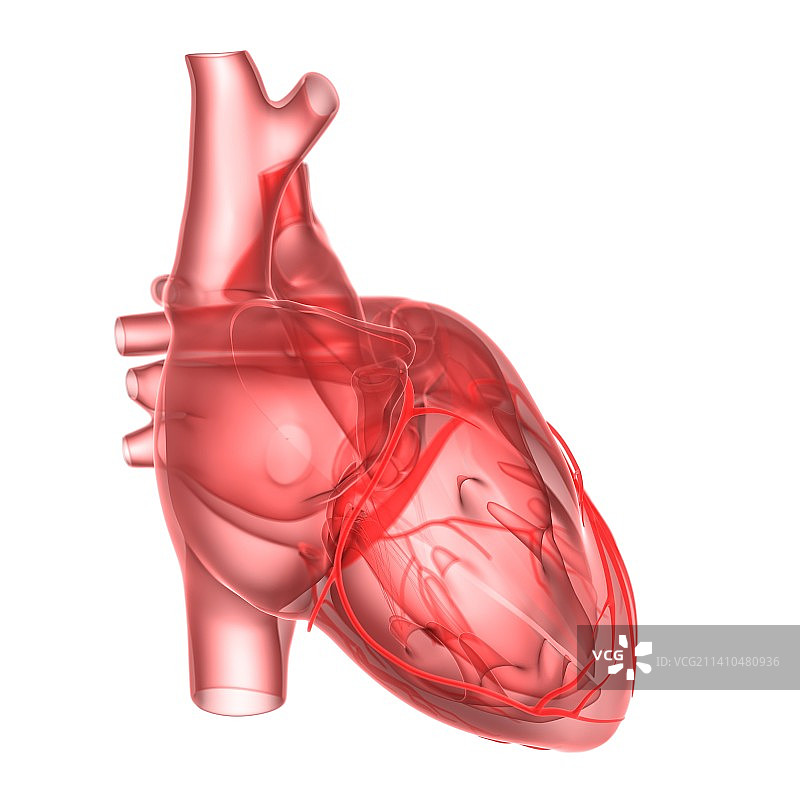 人心，艺术品图片素材