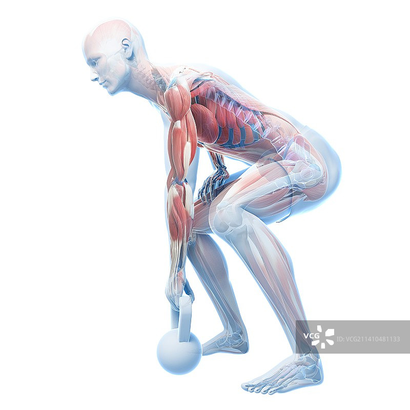 壶铃锻炼艺术作品图片素材