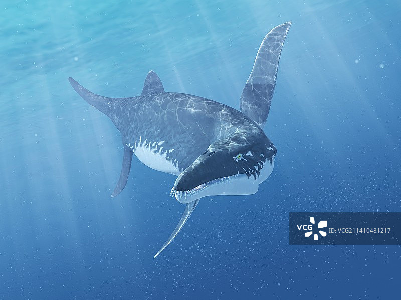 滑齿龙海洋爬行动物图片素材