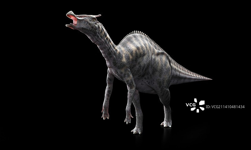 栉龙恐龙艺术图图片素材