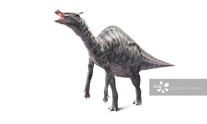 栉龙恐龙艺术图图片素材