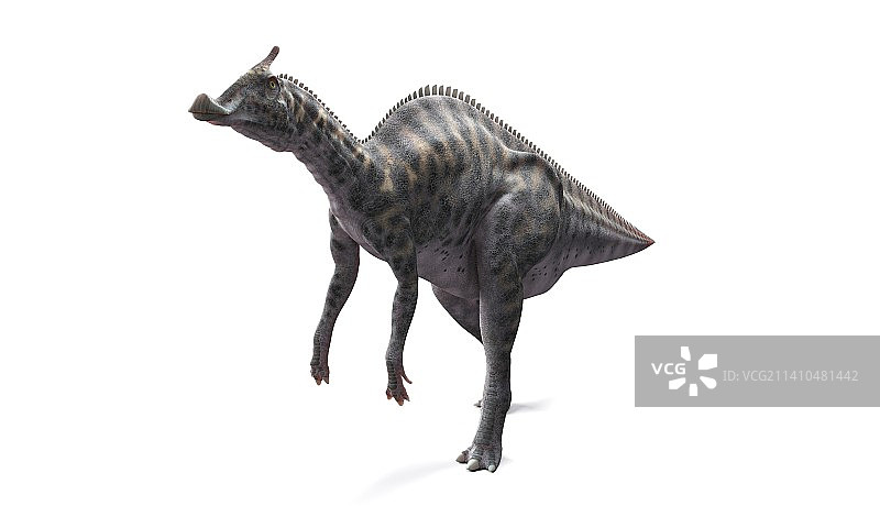 栉龙恐龙艺术图图片素材