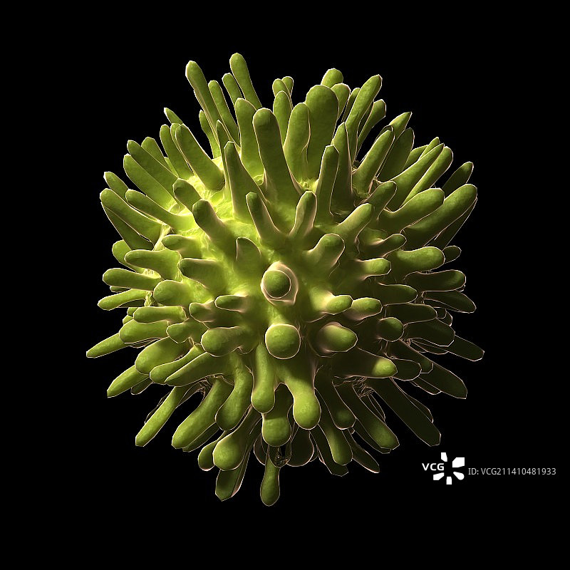 丙型肝炎图片素材