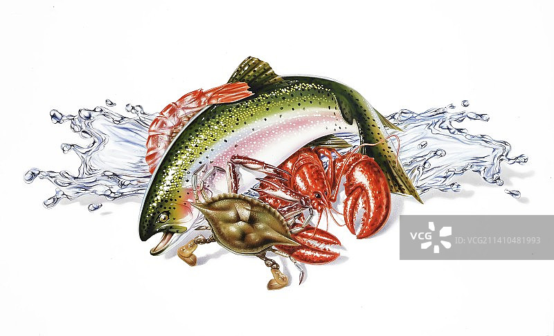 新鲜海鲜艺术品图片素材