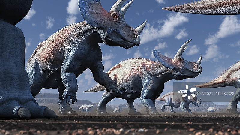 三角龙群插画图片素材