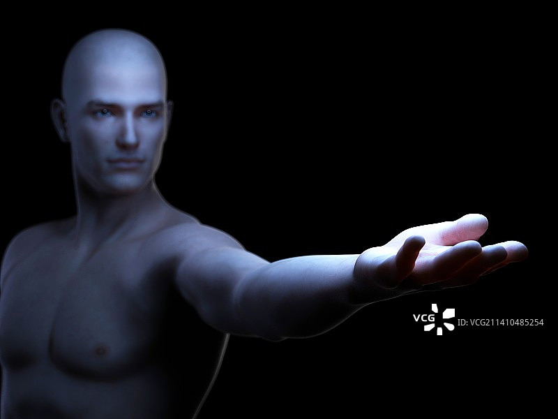 男性解剖学、艺术品图片素材