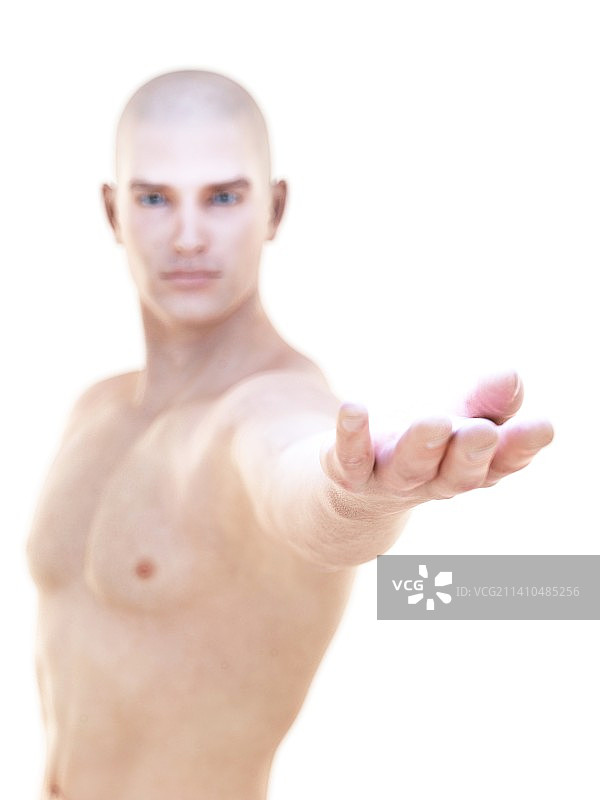 男性解剖学、艺术品图片素材