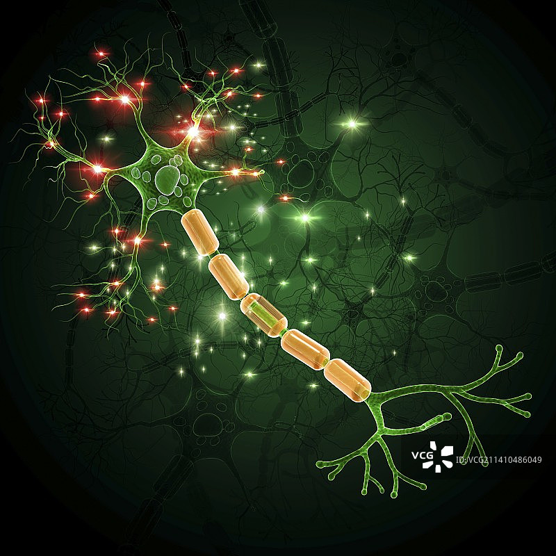 神经细胞艺术图图片素材