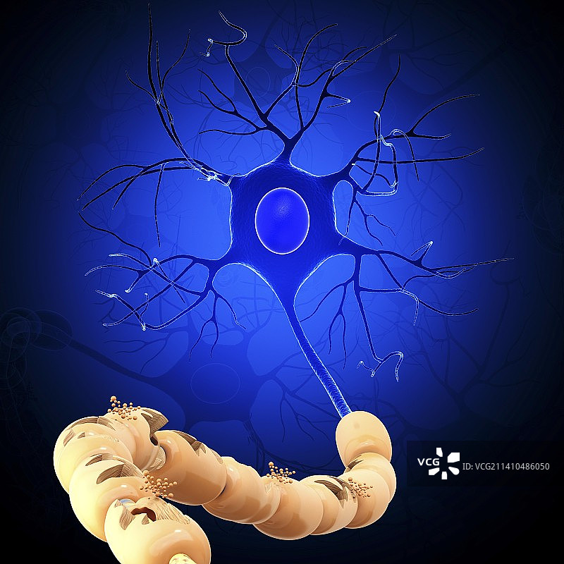 神经细胞艺术图图片素材