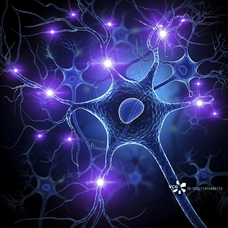 神经细胞艺术图图片素材