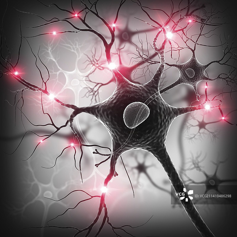 神经细胞艺术图图片素材
