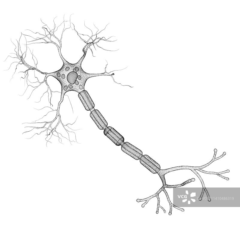 神经细胞艺术图图片素材