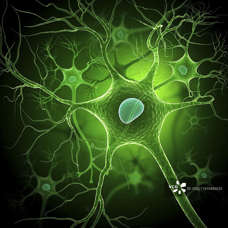 神经细胞艺术图图片素材