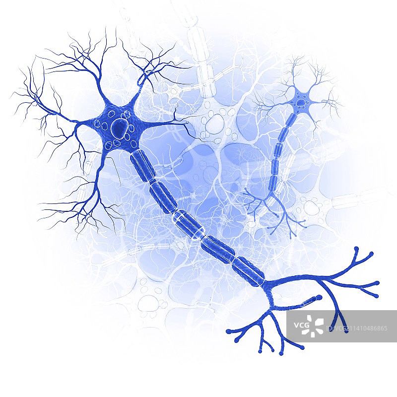 神经细胞，示意图，仅做科普示意。图片素材
