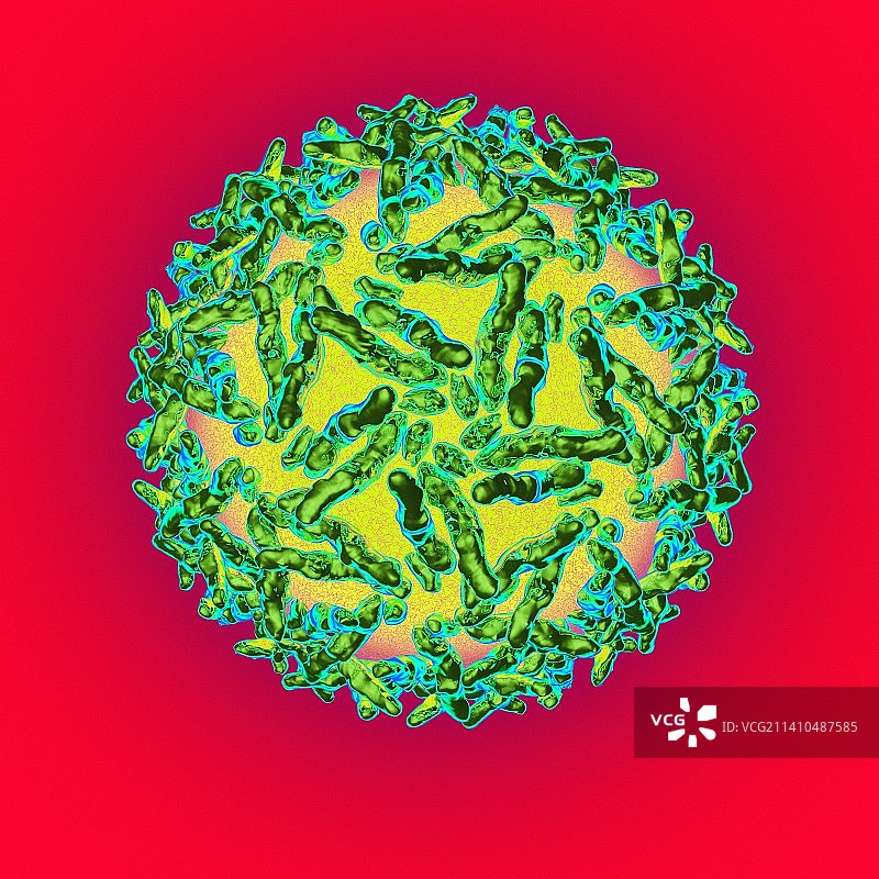 腺相关病毒，示意图图片素材