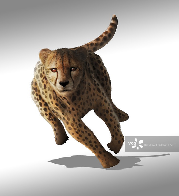 猎豹艺术作品图片素材