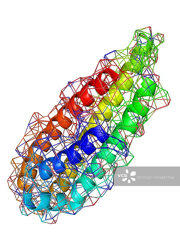 促红细胞生成素激素分子图片素材