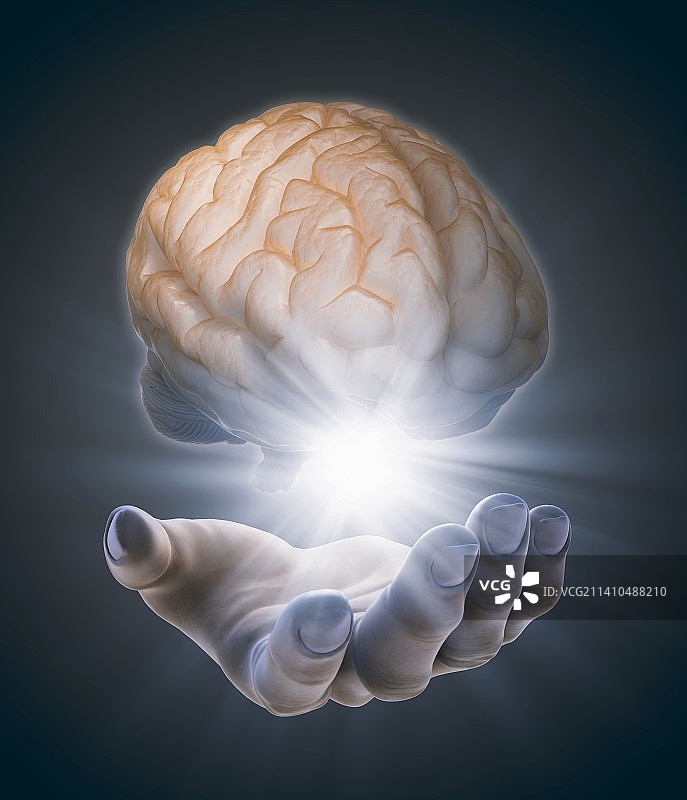 手持大脑艺术品图片素材