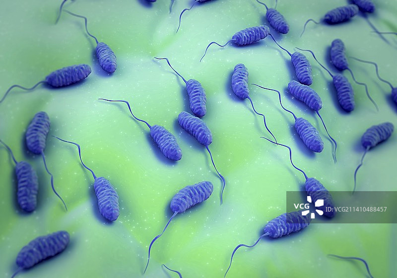 霍乱细菌，艺术作品图片素材