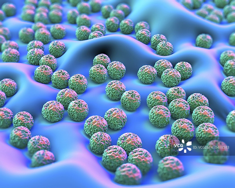 超级细菌艺术图图片素材