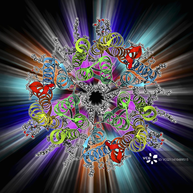 细菌视紫红质蛋白图片素材