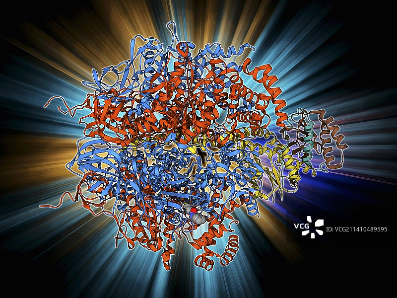 ATP酶分子图片素材