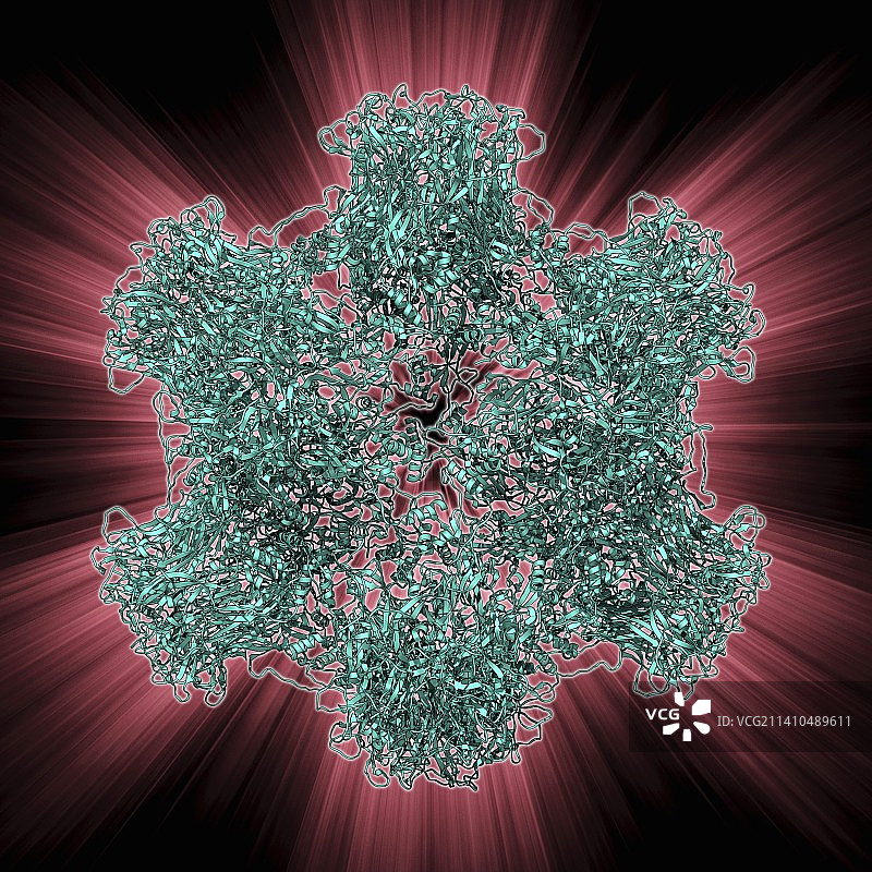 HPV L1表面蛋白图片素材