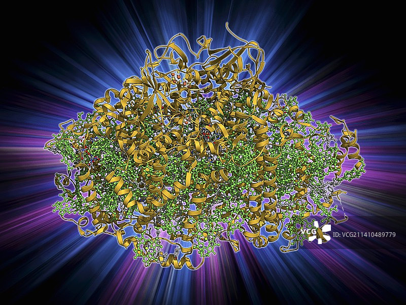 光系统I分子图片素材