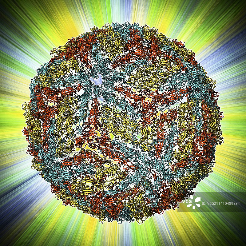 登革病毒衣壳分子模型图片素材