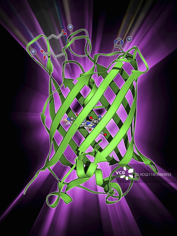 绿色荧光蛋白分子图片素材