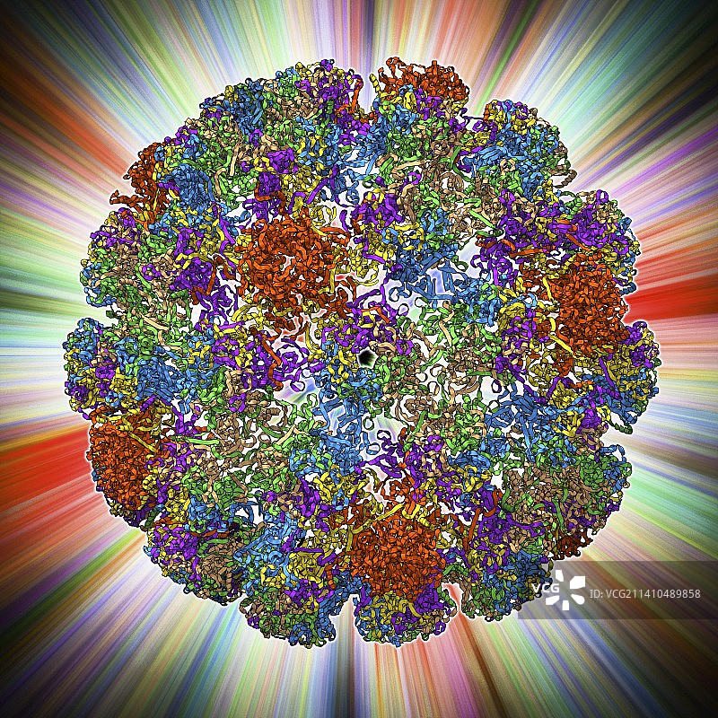 人乳头瘤病毒衣壳图片素材