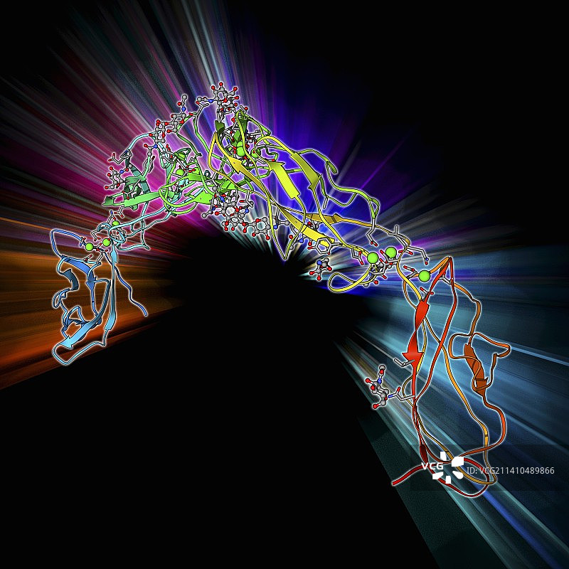 细胞粘附蛋白分子图片素材
